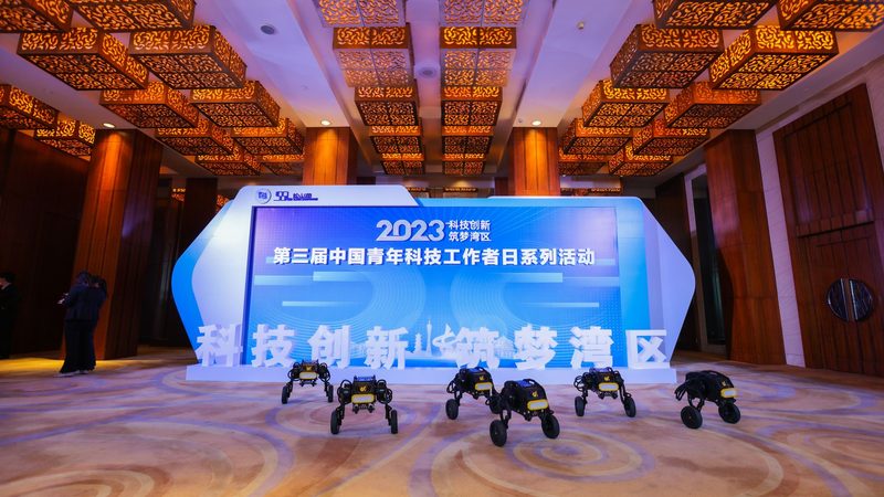 生物技术研发外包公司：助力企业高效创新**